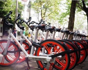 摩拜早期投資人劉二海：當(dāng)你足夠強(qiáng)大，自不必與巨頭為伍